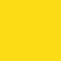 1125 cool yellow