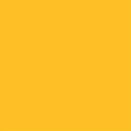 1135 sunshine yellow