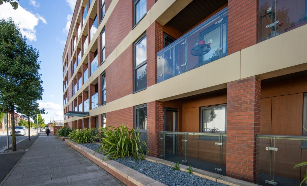 DSC05297 Dx O Deep PRIME XD2s topaz sharpen Large