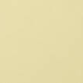 30299 Swisspearl Largo Carat Limestone8083 Surface
